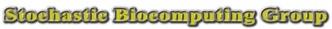 Stochastic Computing Group